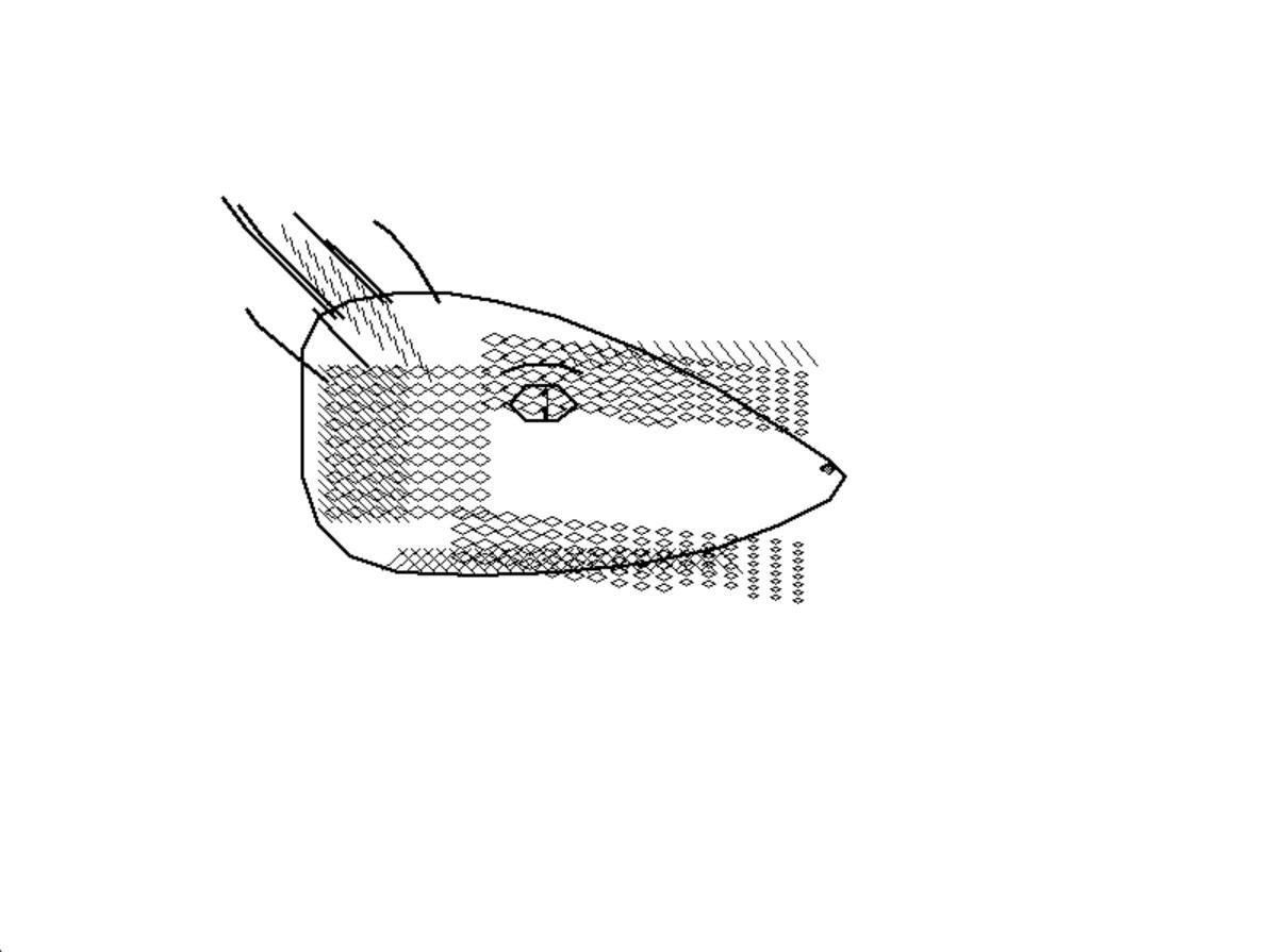 The rendered dragon — the same dragon drawn by Smalltalk Pen turtle graphics, recognizably reptilian but made entirely of straight-line segments and cross-hatch patterns